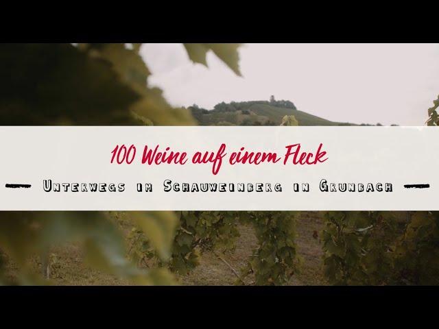 100 Weine auf einem Fleck | Der Schauweinberg im Remstal