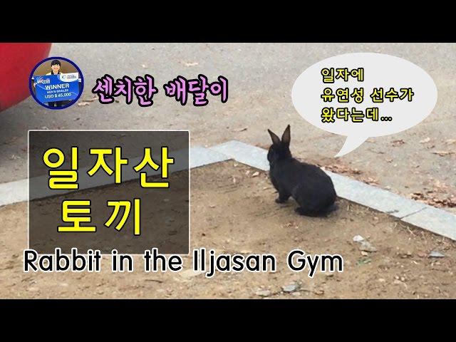 [배달이배드민턴] 일자산체육관에 나타난 토끼/[Badminton Master] Rabbit in the Iljasan Gym