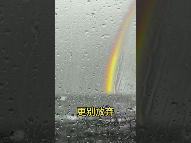 不管遇到多大风雨 #读书文字分享#人生感悟