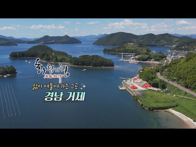 태풍과 싸워 이긴 매미성주[화첩기행 삶이 여물어 가는 그곳 - 경남 거제]