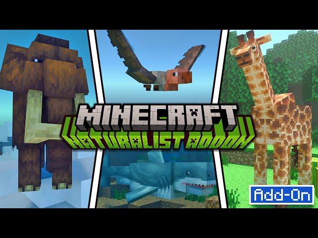 NATURALIST ADDS 100+ ANIMALS TO MINECRAFT SURVIVAL Add-On Xbox, Playstation, Switch, Mobile, PC