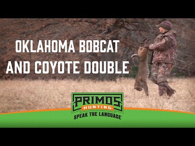 Oklahoma Coyote Bobcat Double with Randy Anderson