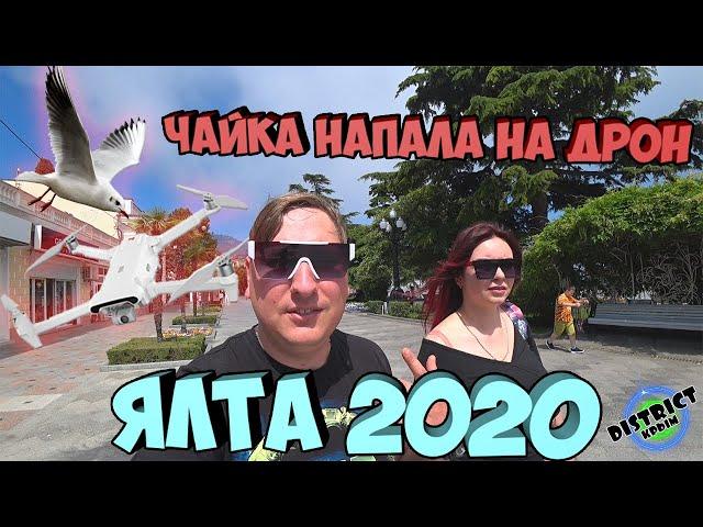 ЯЛТА 2020 СЕГОДНЯ ЛЕТО отдыхающие в Крыму, цены в Ялте, набережная, Приморский пляж.