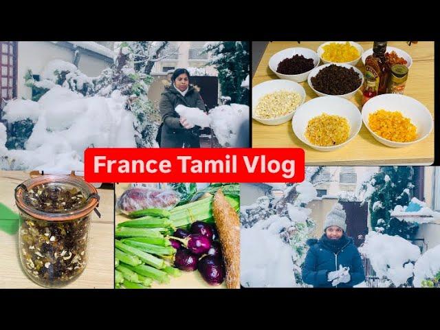 தமிழில் ~Special day /christmas cake mix Soaking /Shopping / playing snow/Tamil Vlog/ life in France