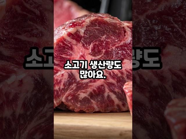 한우가 비싼 이유 #shorts