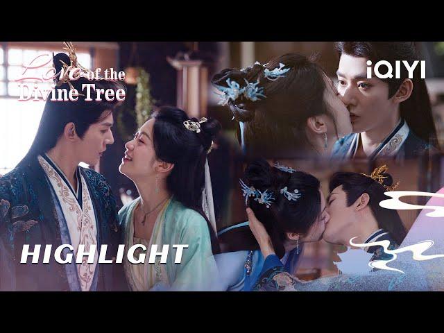 HIGHLIGHT：Su & Ran share a passionate kiss️| EP30-35 | Love of the Divine Tree | iQIYI Romance