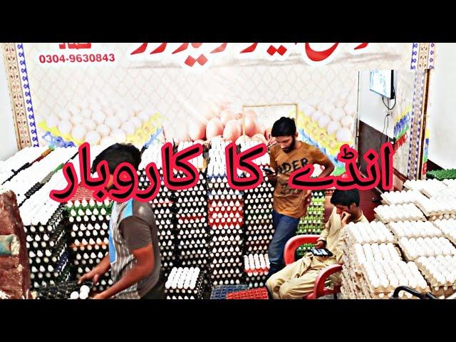 Eggs Business wholesale market Lahore Pakistan|farm Eggs business wholesale