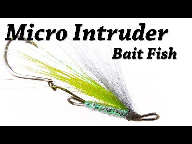 Micro Baitfish Spey Pattern for Steelhead | Fly Tying