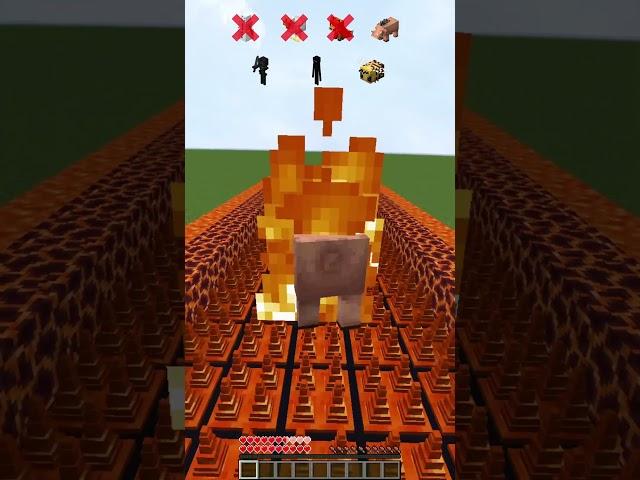 Hot Spikes vs Mobs Survival
