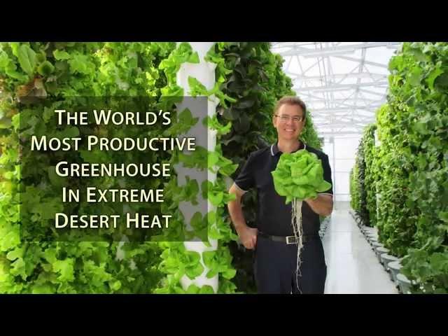 The World’s Most Productive Greenhouse in Extreme Desert Heat