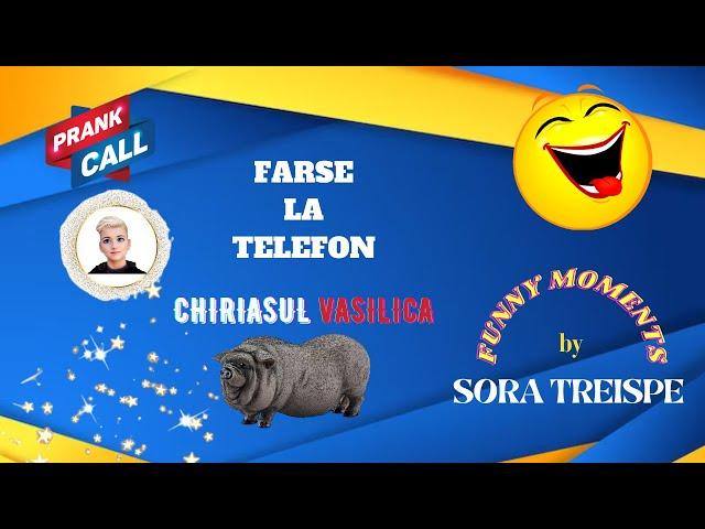  FARSE LA TELEFON- PORCUL VASILE ESTE SCUMP - PAMFLET  #farse #farsetiktok #romania #viral #umor