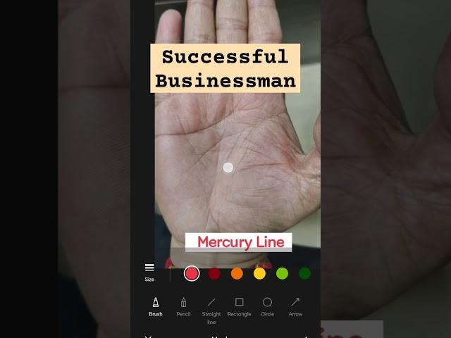 SUCCESSFUL BUSINESSMAN |  PALMISTRY