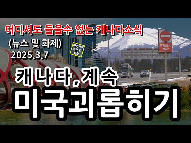 캐나다 뉴스 및 화제 (25.3.7)