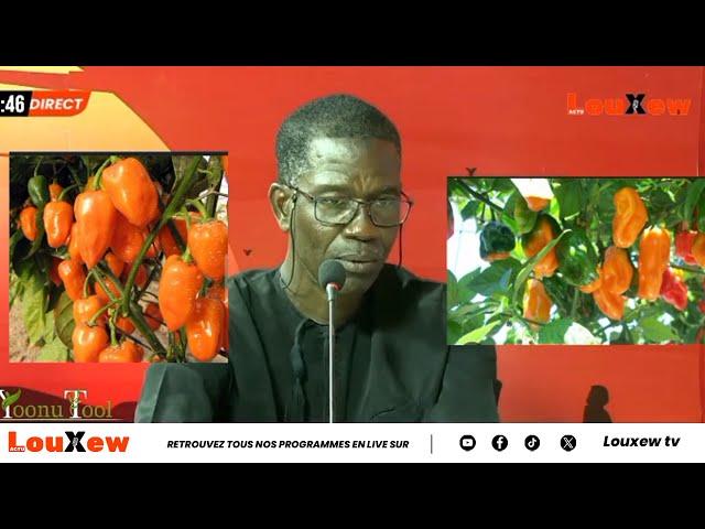 Le Prof Malick Sow agroécologiste nous parle de La transition agroécologie au agriculture moderne.