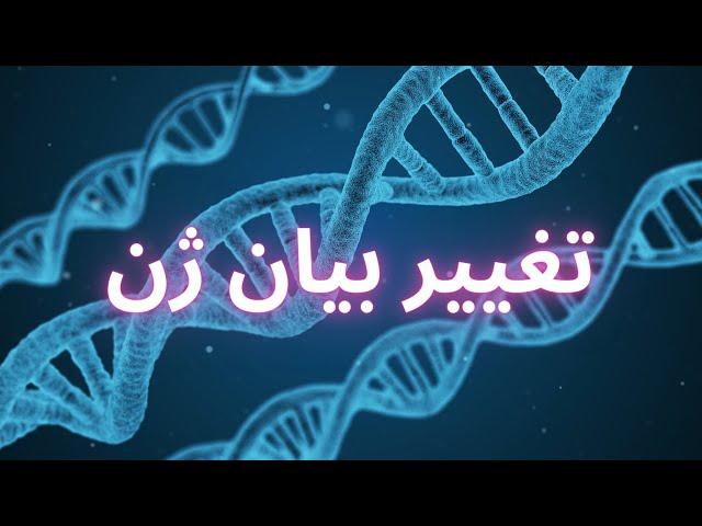 بزرگ ترین راز بزرگ چربی سوزی || متد کاهش وزن اصولی با ذهن