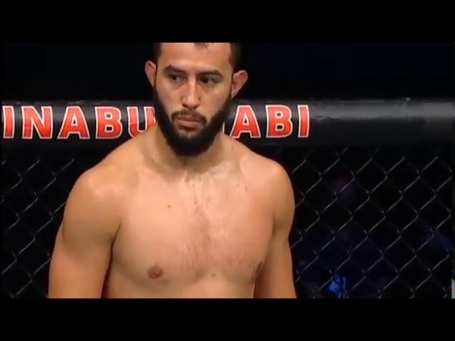 dominick reyes vs jan blachowicz