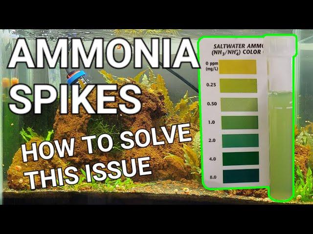 How To Fix An Ammonia Spike In Your Aquarium! - Lowering Ammonia Levels In 3 EASY Steps!