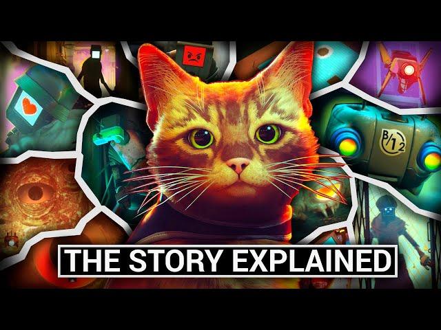 STRAY - The Story Explained