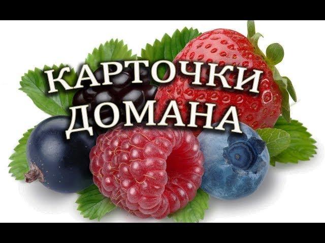 Сборник!  НОВЫЕ Карточки Домана,  Транспорт, Животные, Предметы, Растения, Овощи, Фрукты, Еда