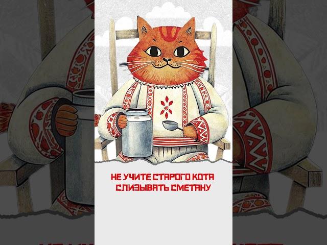 Пословицы и их отцы-мудрецы. Не учите старого кота... #graphicdesigner #мудрыемысли