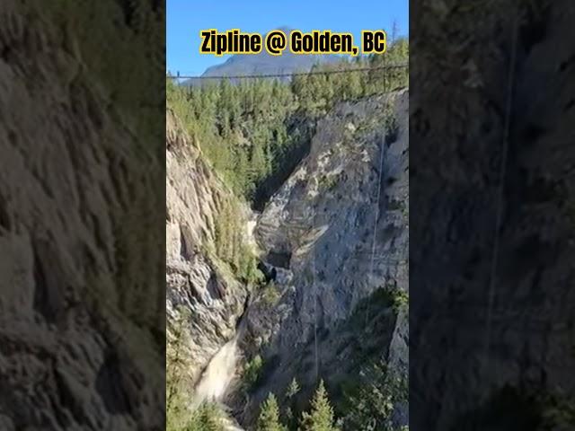 Zipline! @ Golden, BC