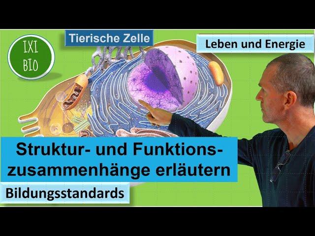 Leben und Energie: 1. Zellen - Struktur und Funktion - Bildungsstandards Biologie