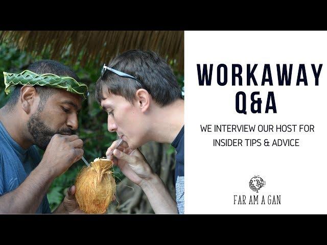 WORKAWAY Q&A | OUR HOSTS TOP TIPS