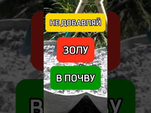НЕ ДОБАВЛЯЙ ЗОЛУ В ПОЧВУ пока не посмотришь это видео #огород #дача #сад #дом #огородничество #зола