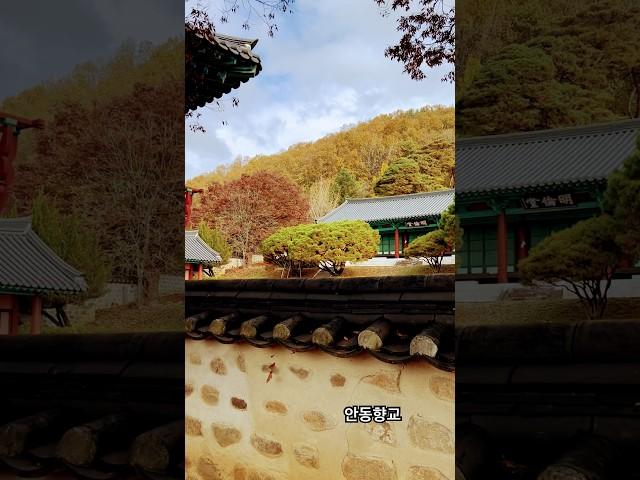 안동향교..송천동 향교길 65 #shorts