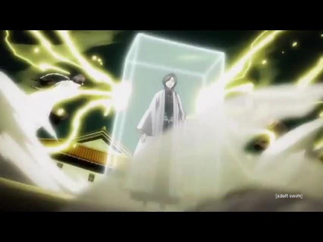 Soi Fon and Yoruichi vs Unohana