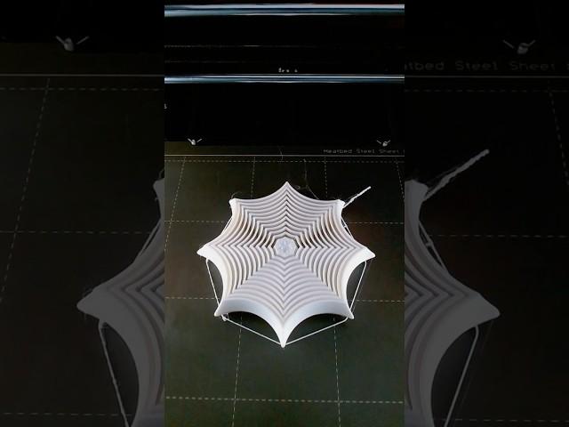 3D Printed Spiderweb Fidget Toy 