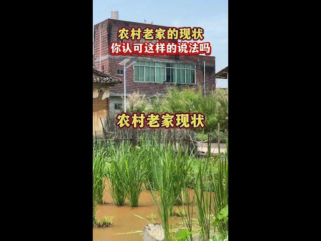 The current situation of my rural hometown  do you agree with this statement? Rural areas  I never