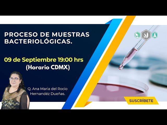 1- Proceso de muestras bacteriológicas