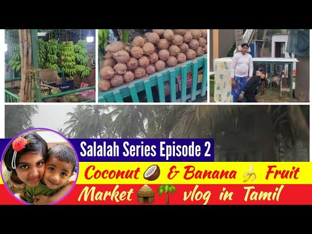 Tender Coconut and Banana Shop in Salalah #tamilyoutube #malarkarthick #vlog #4k #travelvlog #tamil