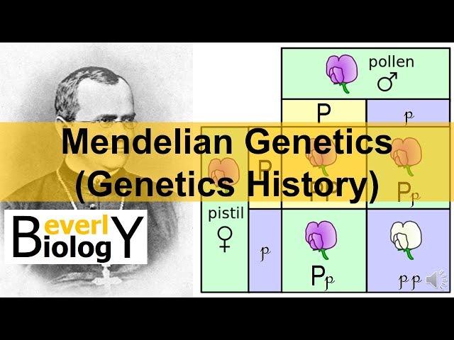 Mendelian Genetics (Genetics History)