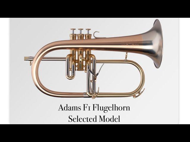 Adams F1 Flugelhorn selected model - noodles by Roy van Lent