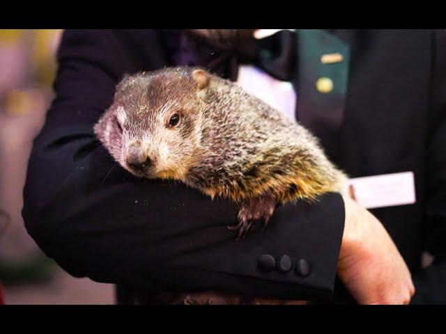 Craft Spirits TV: It's Groundhog Day with Wigle Whiskey!