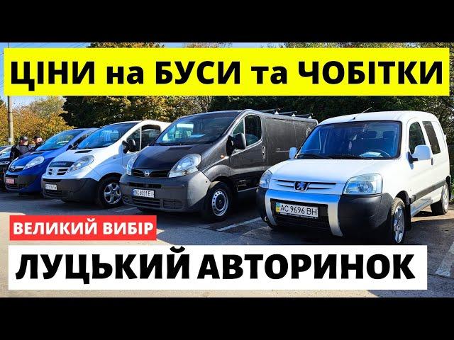 ПОПУЛЯРНІ БУСИ ТА ЧОБІТКИ / ЛУЦЬКИЙ АВТОРИНОК / 21.11.2024р #автобазар  #автопідбір #автопідбірлуцьк