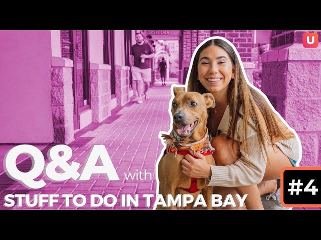 Best Pet Stores In Tampa Bay? | Q&A with Stuff To Do In Tampa Bay