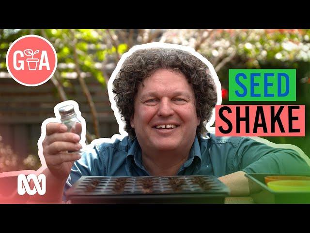 Sowing Small Seeds! | Gardening Hacks | Gardening Australia