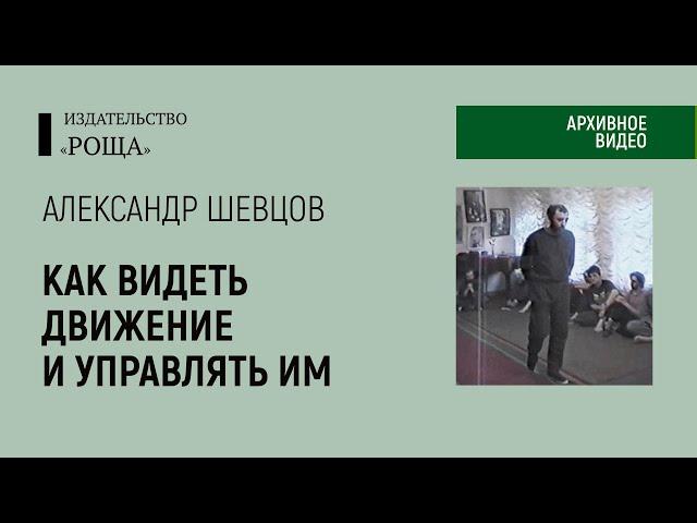 Александр Шевцов: Образ движения. Как видеть движение и управлять им