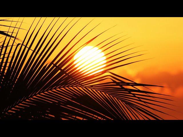 Beautiful Sunset -  No Copyright | Free Stock Footage | Free HD Video - Sunset Videos