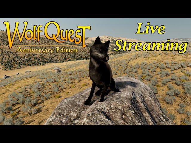 Wolf Quest AE - Another Solo Hunting