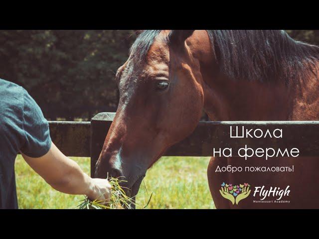 О Монтессори-ферме Fly High Montessori