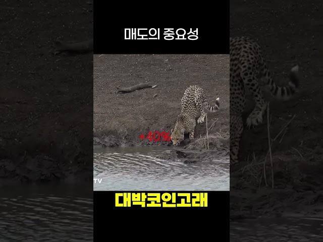 매도의 중요성  #비트코인 #리플 #bitcoin