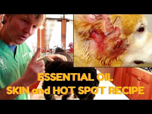 Dog Skin and Hot Spot Essential Oil Recipe