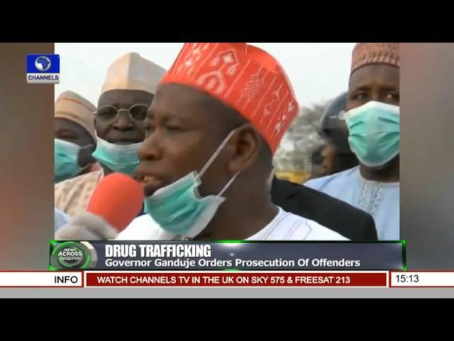 Governor Ganduje Orders Prosecution Of Drug Trafficking Offenders