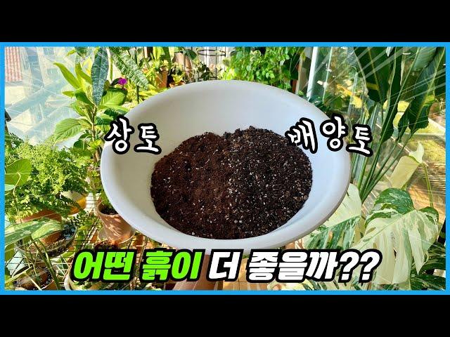 식물키우기 어떤 흙이 더 좋을까요?? 상토VS배양토