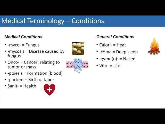 Medical Terminology - The Basics - Lesson 4