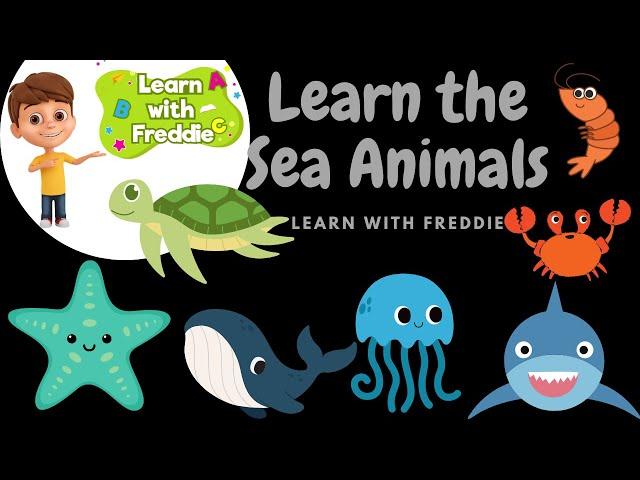 Learn the Sea Animals with Freddie - Fun & Educational